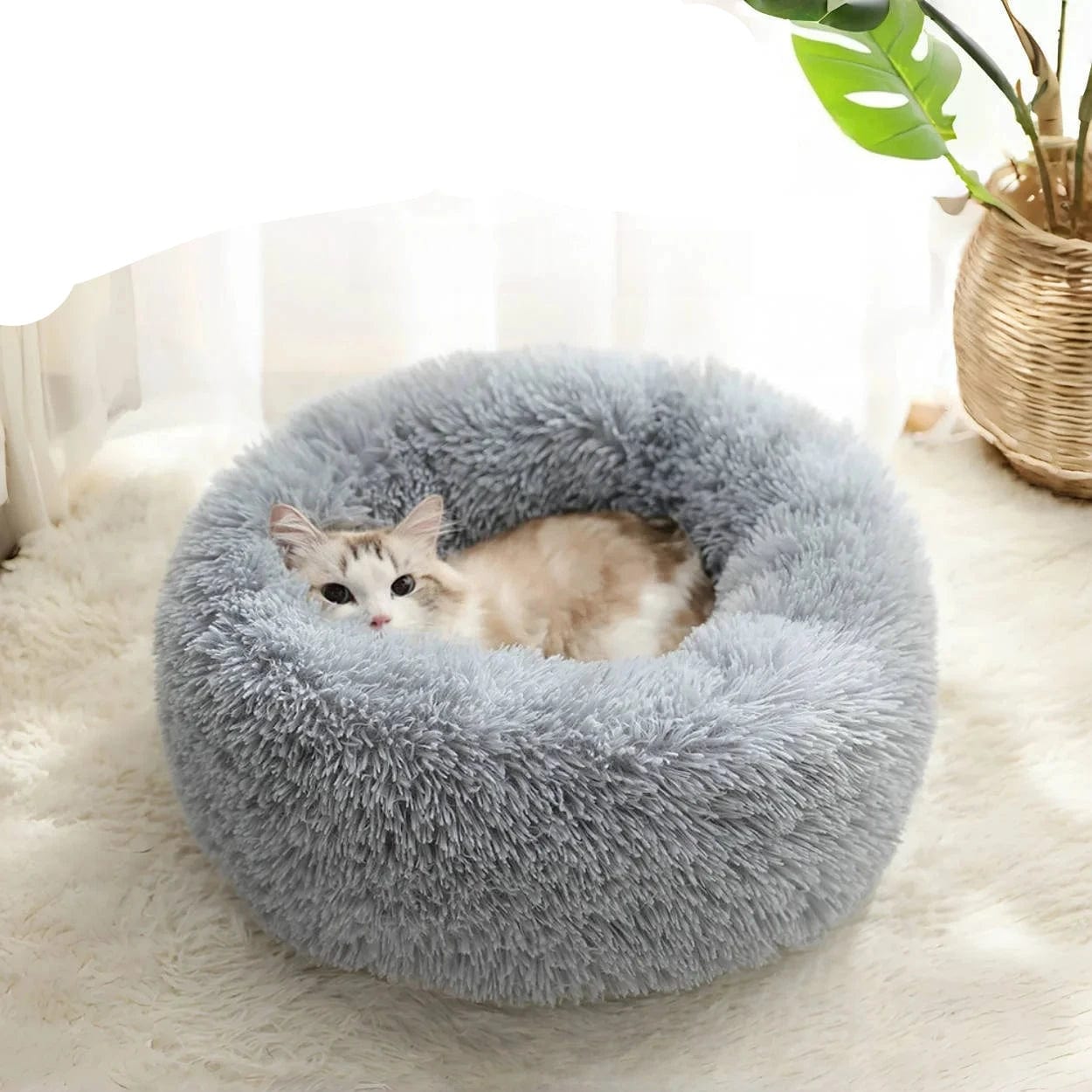 l-arbre-a-chat.com Coussin Anti Stress Chat
