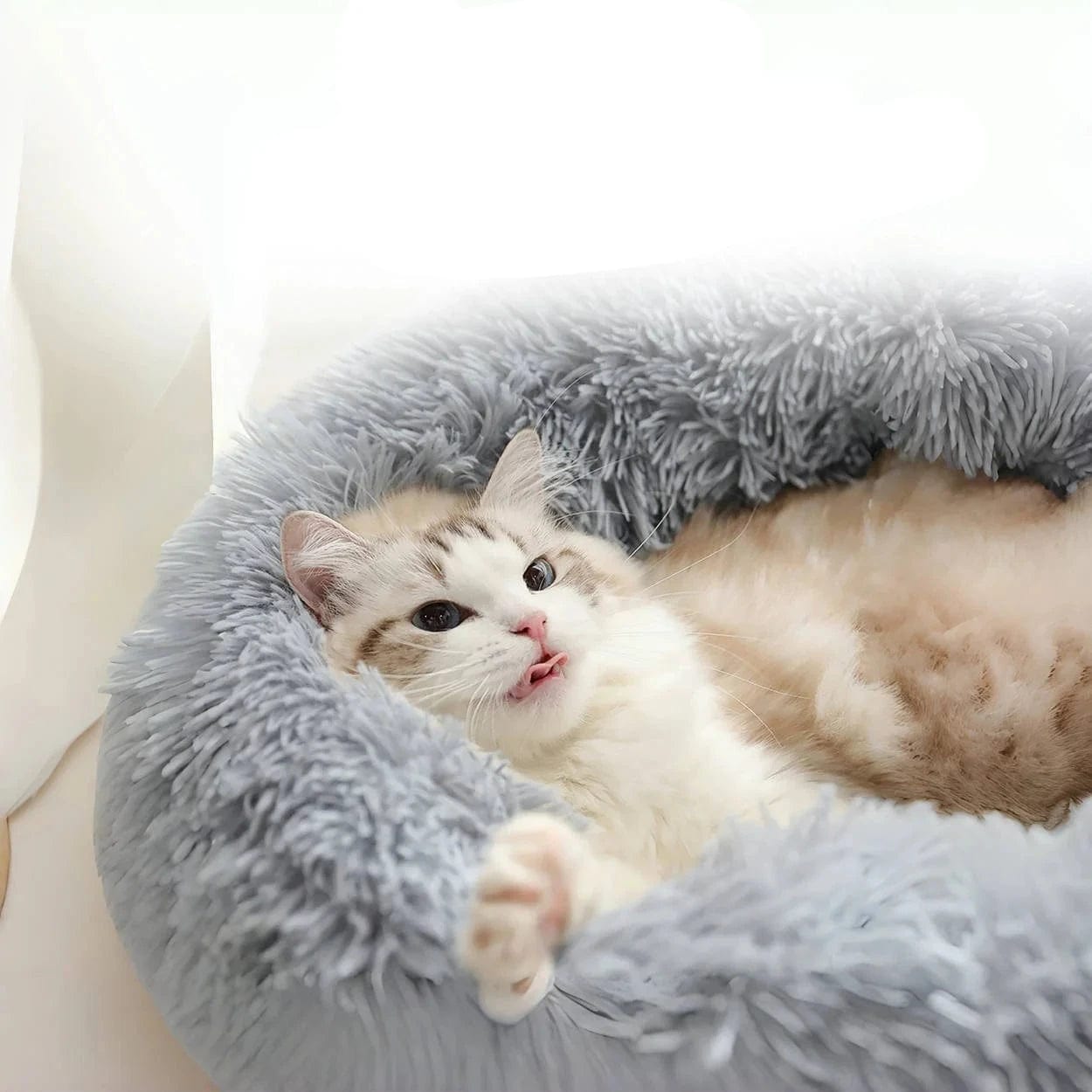 l-arbre-a-chat.com Coussin Anti Stress Chat