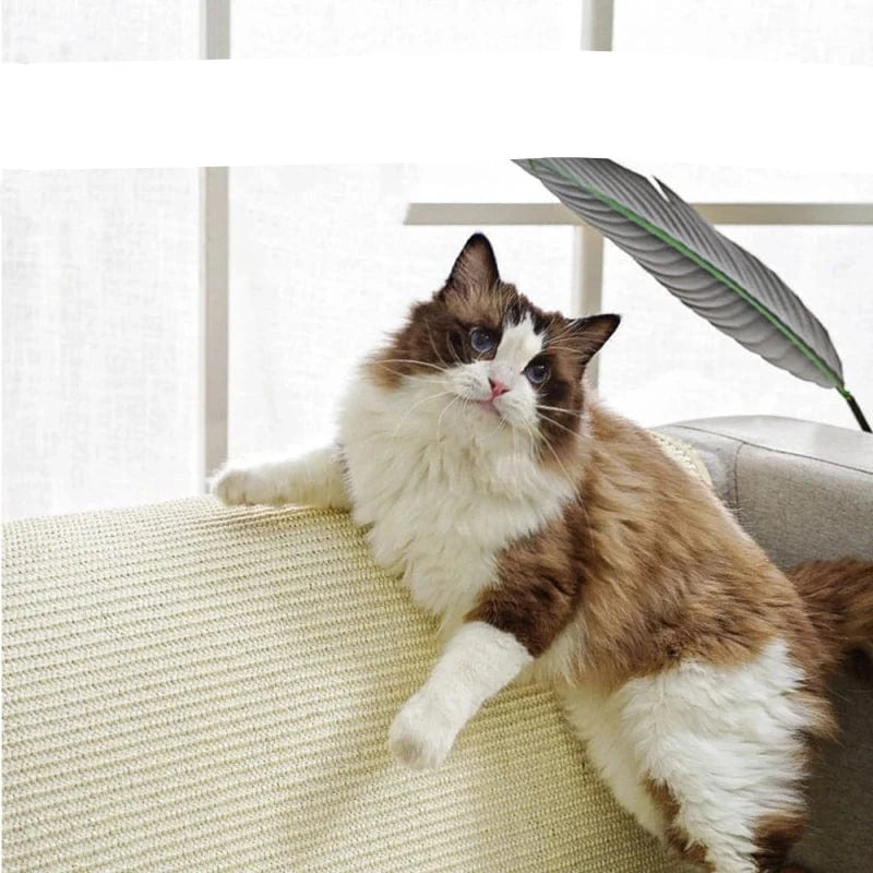 l-arbre-a-chat.com Pet Cat Scratching Board Natural Sisal Cat Scratcher Blanket Post Mat Pet Toy for Protecting Furniture Foot Sofa Cushion