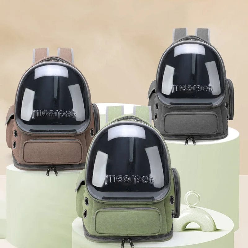 l-arbre-a-chat.com Transparent Pet Cat Carrier Bag Outdoor Travel Backpack for Cats Small Dogs Breathable Cat Carrying Bag Pet Supplies