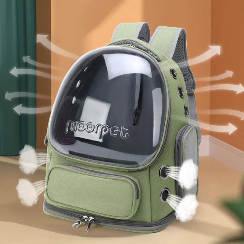l-arbre-a-chat.com Transparent Pet Cat Carrier Bag Outdoor Travel Backpack for Cats Small Dogs Breathable Cat Carrying Bag Pet Supplies