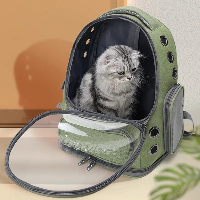 l-arbre-a-chat.com Transparent Pet Cat Carrier Bag Outdoor Travel Backpack for Cats Small Dogs Breathable Cat Carrying Bag Pet Supplies