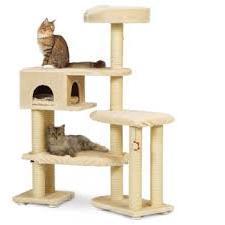 Arbre a Chat Beige