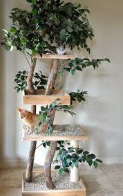 Arbre a Chat Fleur