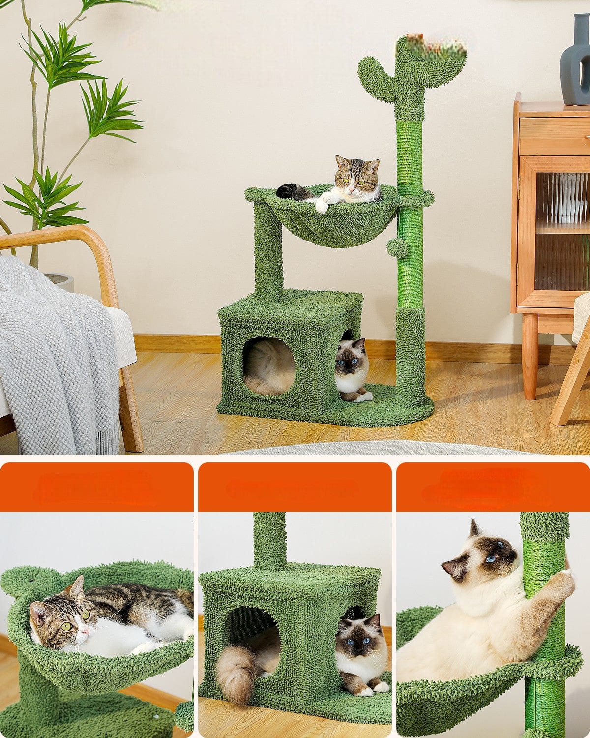 l-arbre-a-chat.com Arbre a Chat Cactus