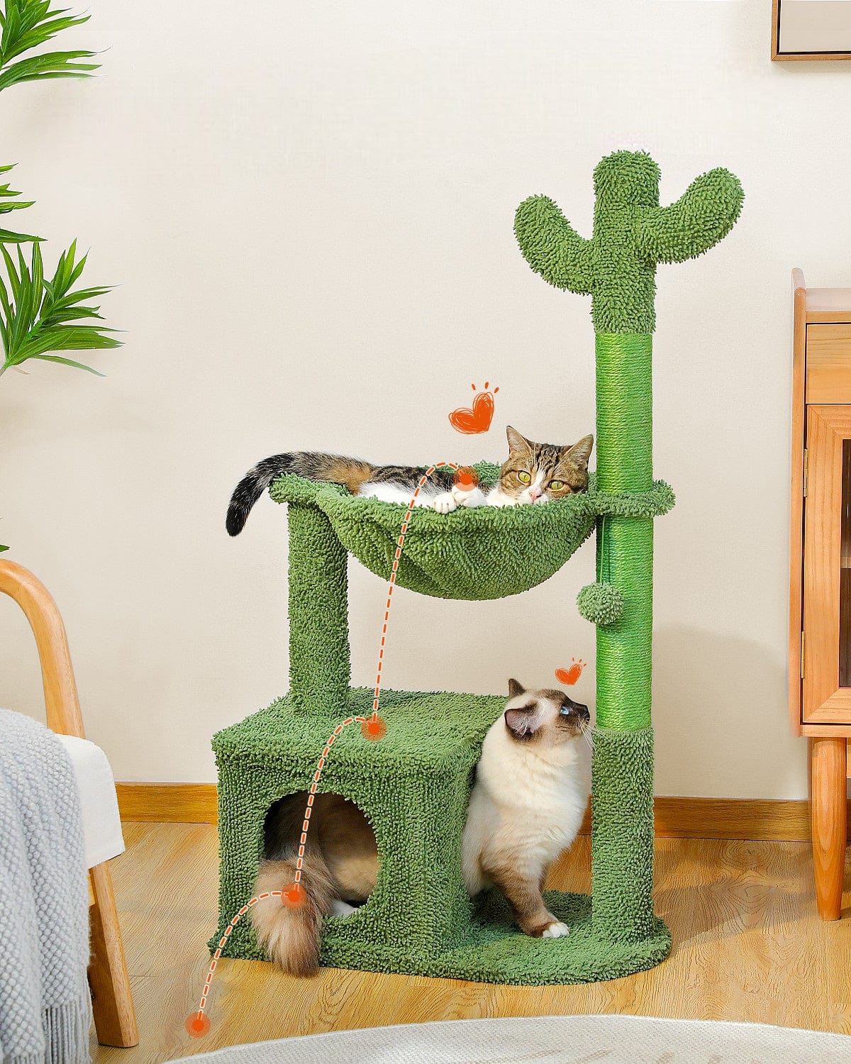 l-arbre-a-chat.com Arbre a Chat Cactus