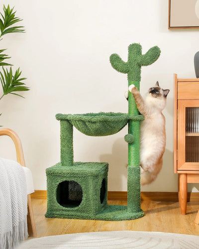 l-arbre-a-chat.com Arbre a Chat Cactus