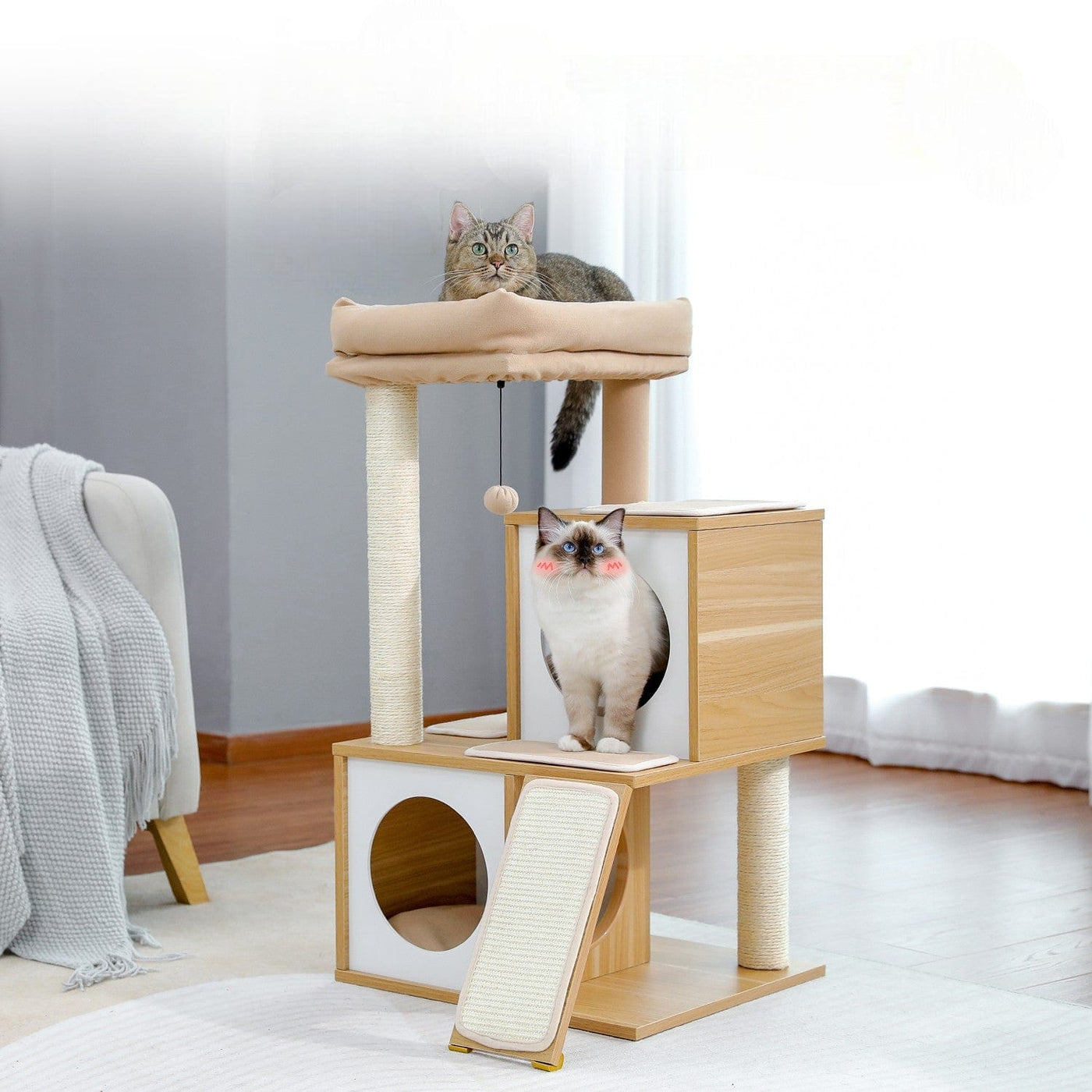 l-arbre-a-chat.com Arbre a Chat Design Pas Cher