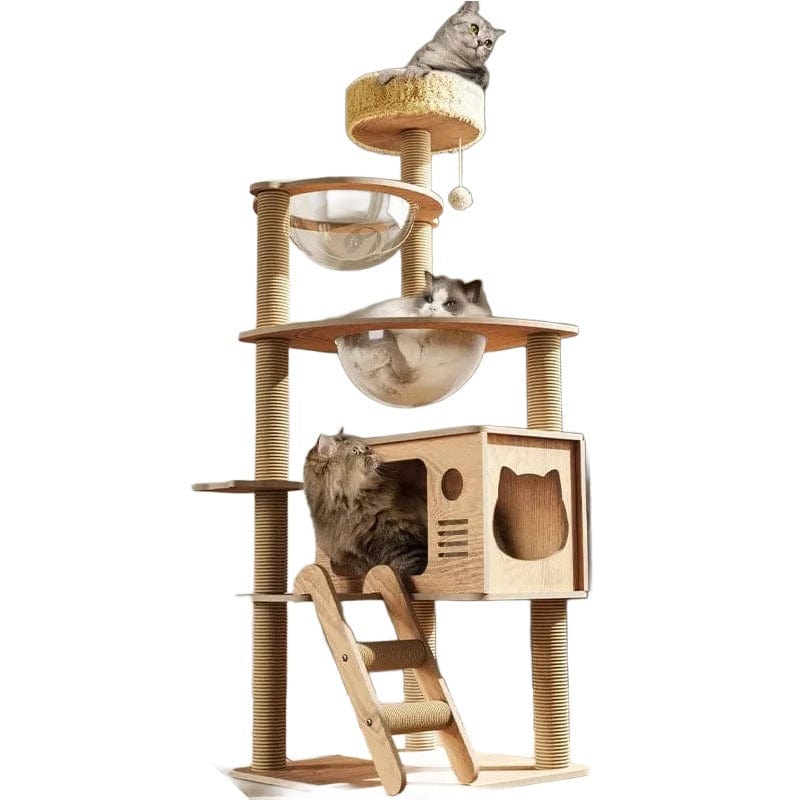 l-arbre-a-chat.com Arbre a Chat en Bois Massif