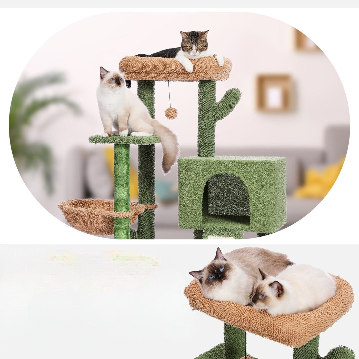 l-arbre-a-chat.com Arbre a Chat Moyen