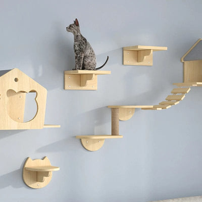 l-arbre-a-chat.com Arbre a Chat Mur