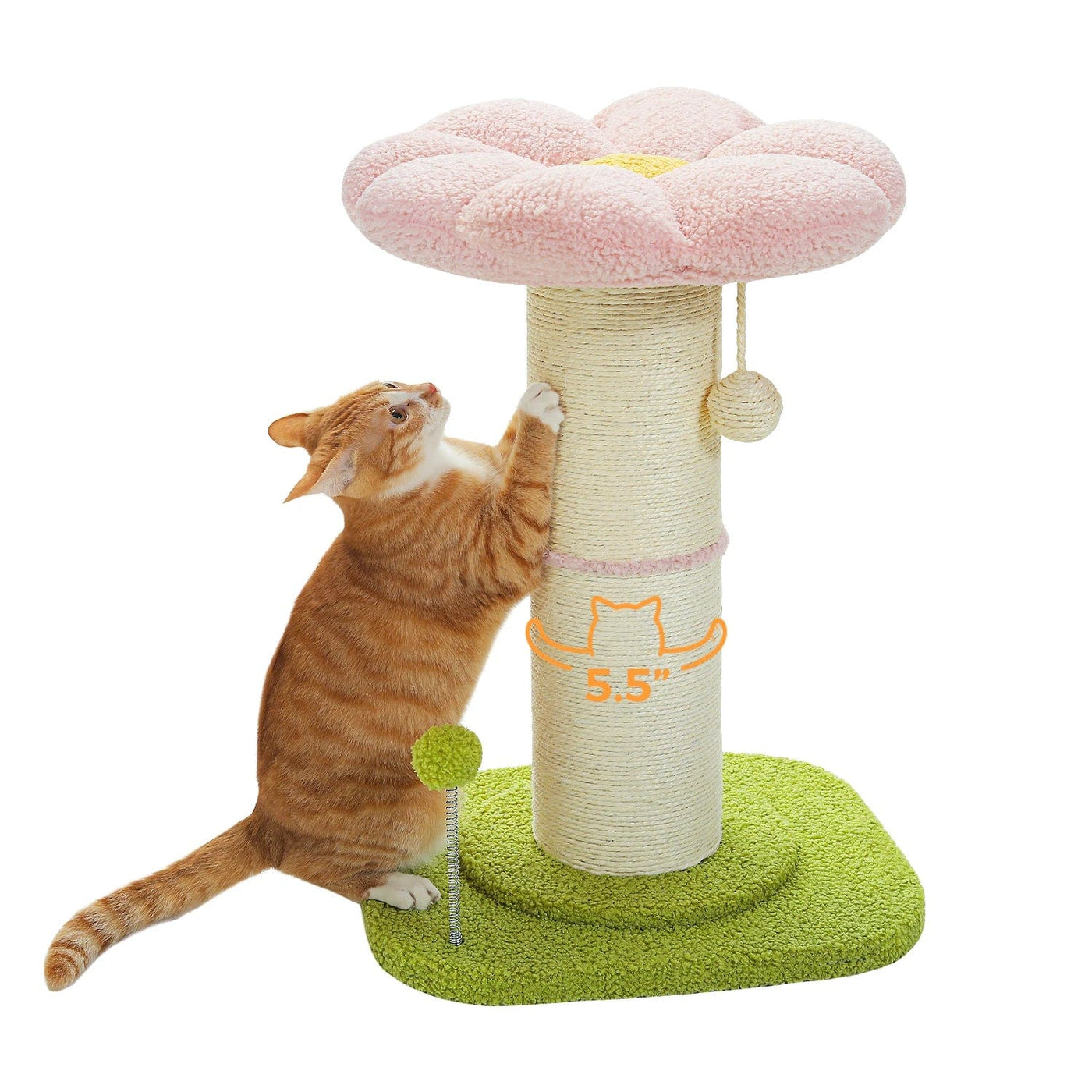 l-arbre-a-chat.com Arbre a Chat Rose