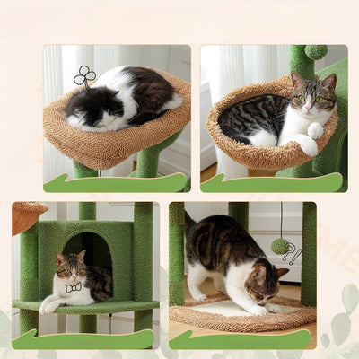 l-arbre-a-chat.com Arbre a Chat Vert