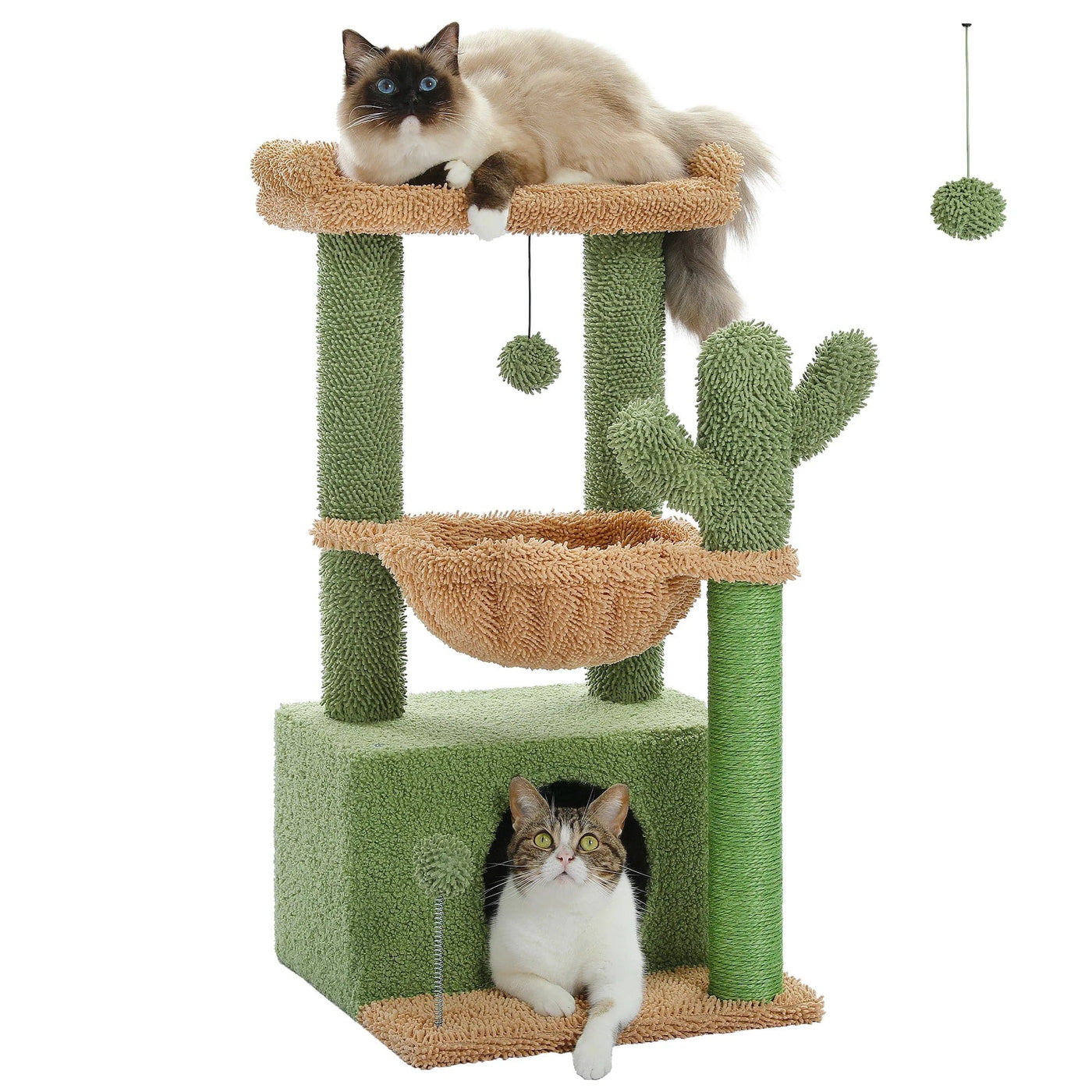 l-arbre-a-chat.com Cactus Arbre a Chat