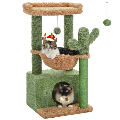 l-arbre-a-chat.com Cactus Arbre a Chat