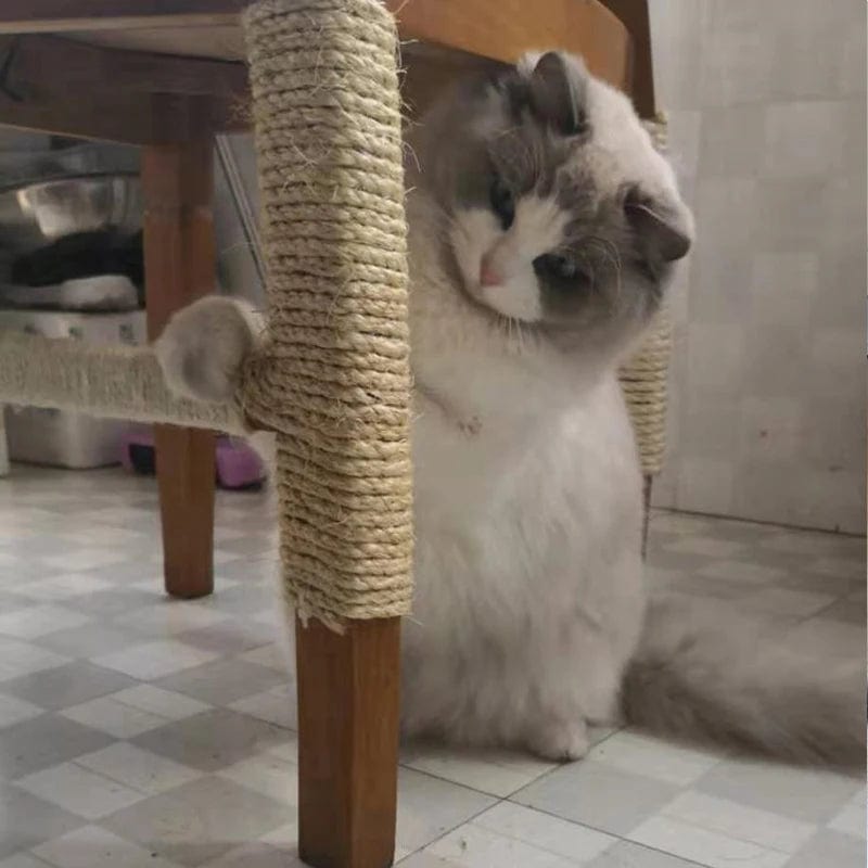 l-arbre-a-chat.com Corde Sisal Chat