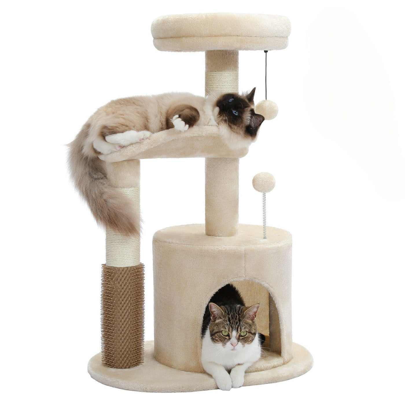 l-arbre-a-chat.com Petit Arbre a Chat Pas Cher