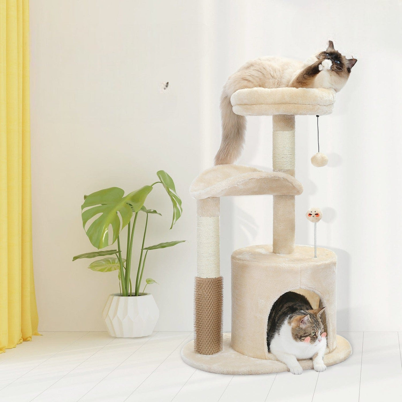 l-arbre-a-chat.com Petit Arbre a Chat Pas Cher